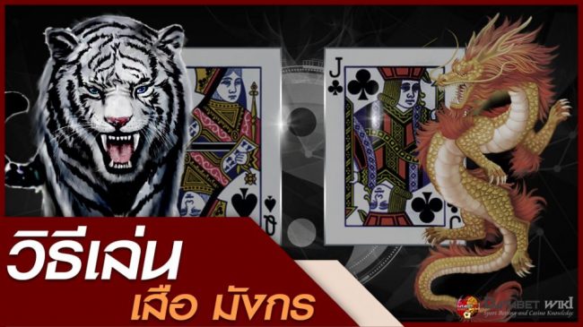 ufs24h- เค้าไพ่เสือมังกร