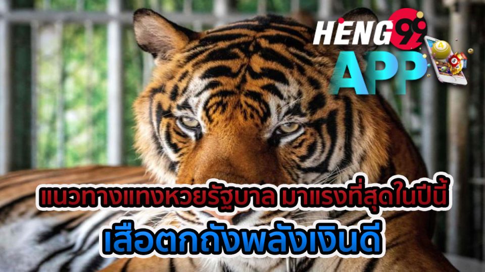 เลขเด็ดเสือตกถังพลังเงินดี คือ - heng99app
