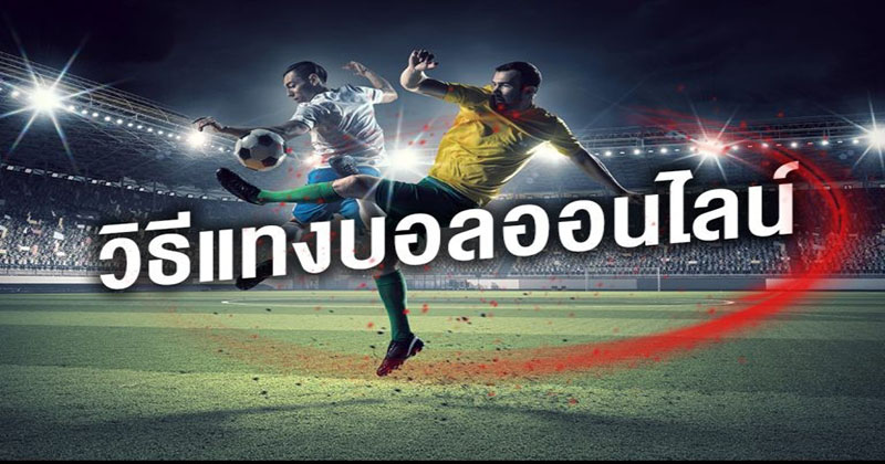 เว็บพนันบอล ดีที่สุด 2023