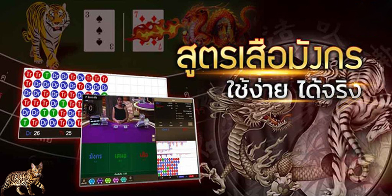 สูตรการเล่นเสือมังกร