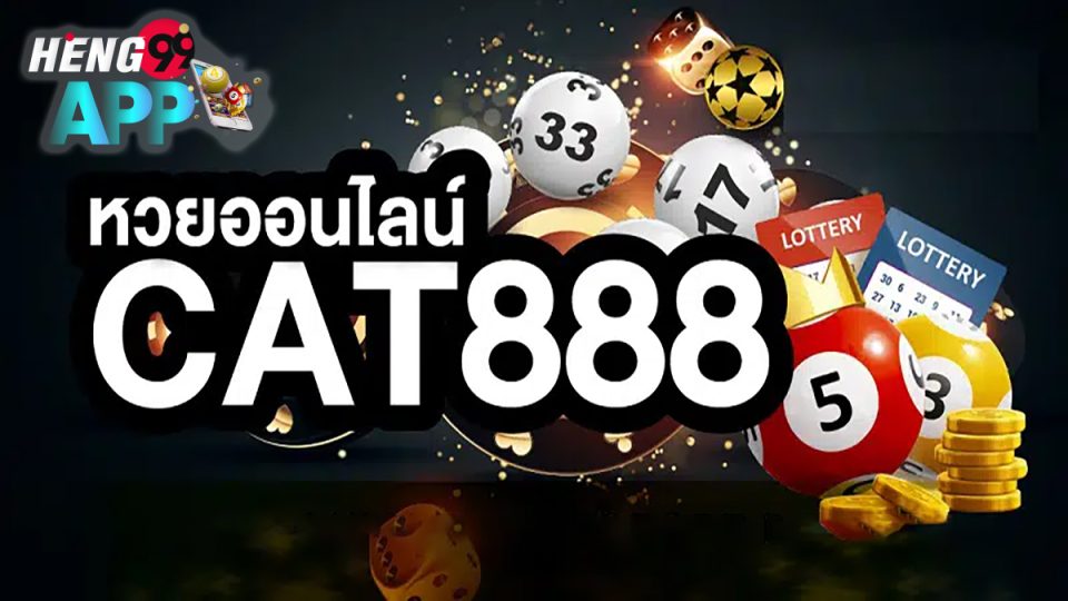 Cat888