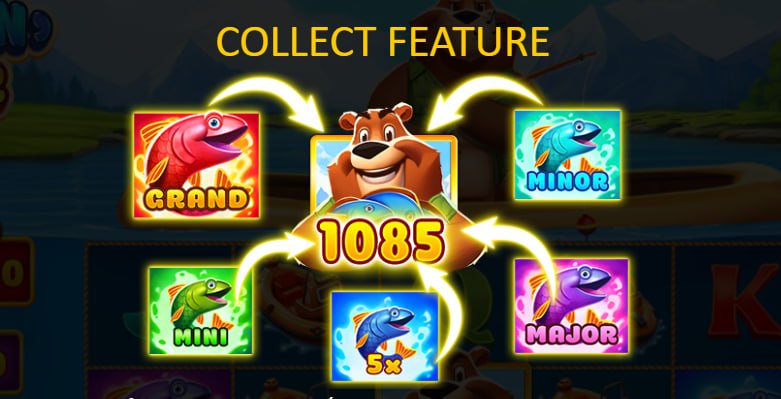 Bear fish casino 