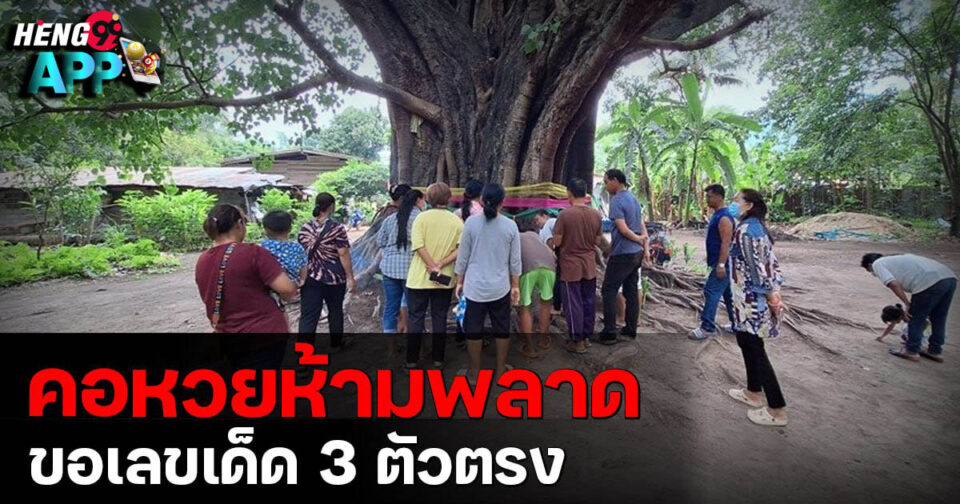 ขอเลขเด็ด3ตัวตรง-"Request 3-digit lucky number"