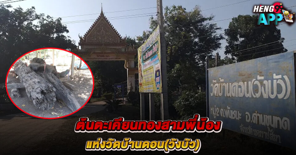 ต้นตะเคียนทองสามพี่น้อง-"Ton Takhianthong Sam Phinong"