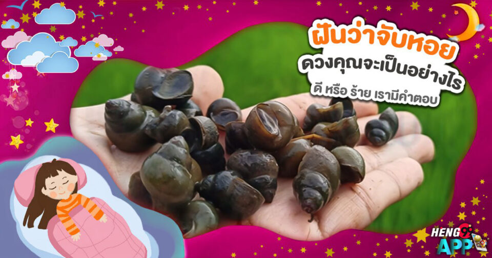 ทำนายฝัน จับหอย -"Dream interpretation Catching shellfish"