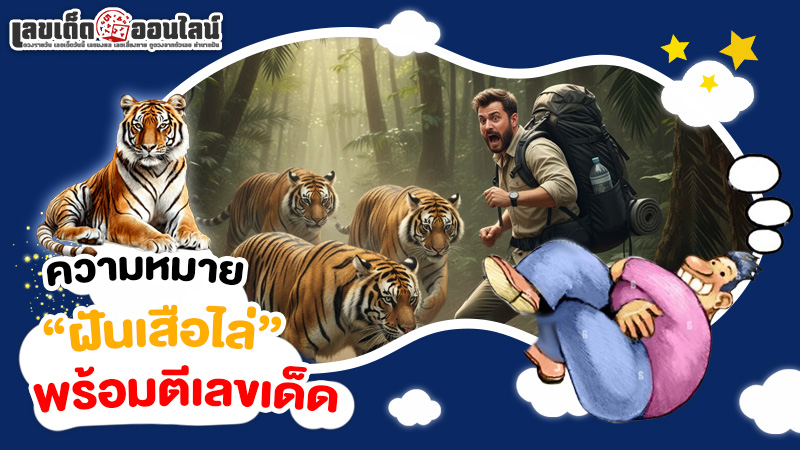 รูปภาพความหมายพร้อมเลขเด็ดฝันเสือไล่ของ lekdedonline