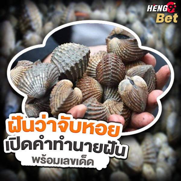 รูปภาพทำนายฝันว่าจับหอยพร้อมเลขเด็ดของ heng99